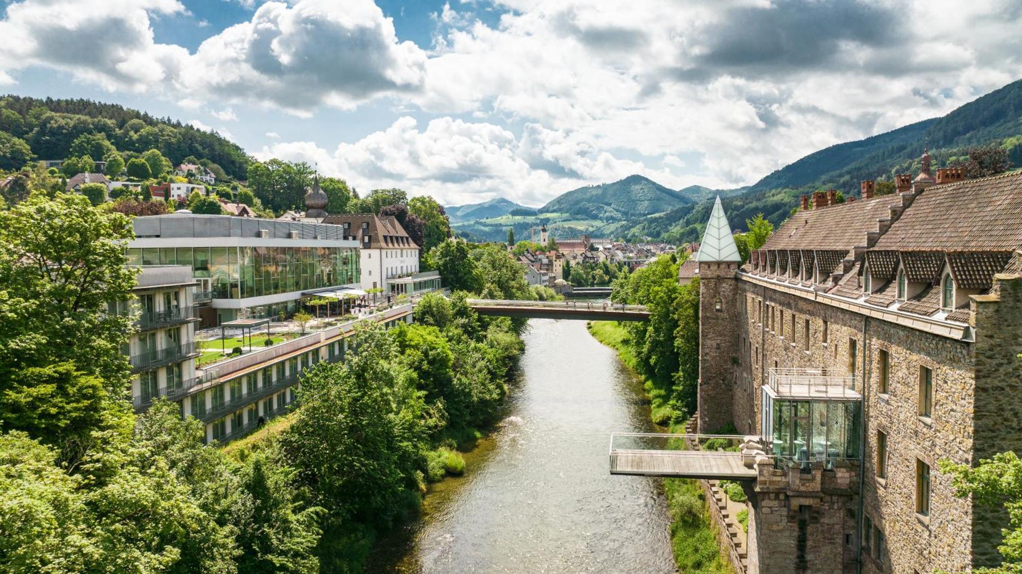 Das Schloss An Der Eisenstrasse Waidhofen an der Ybbs Exterior photo